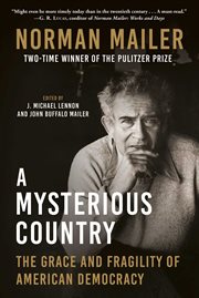 A mysterious country : the grace and fragility of American democracy cover image