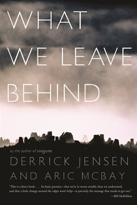 Cover image for What We Leave Behind