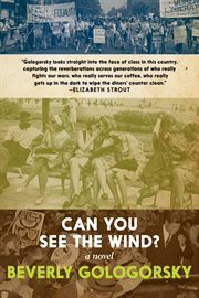Can you see the wind? : a novel cover image