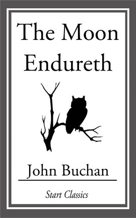 Cover image for The Moon Endureth