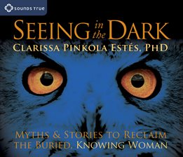 Cover image for Seeing in the Dark