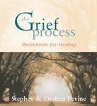The grief process. Meditations for Healing cover image