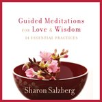Guided meditations for love and wisdom. 14 Essential Practices cover image