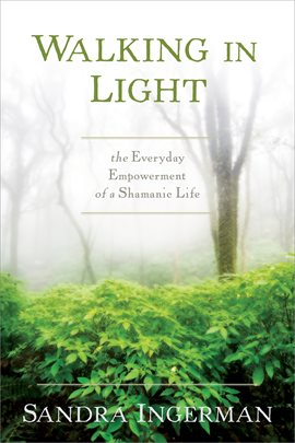 Cover image for Walking in Light