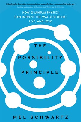 Cover image for The Possibility Principle