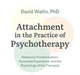Attachment in the practice of psychotherapy cover image