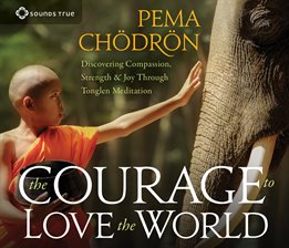 Cover image for The Courage to Love the World