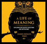 A life of meaning : exploring our deepest questions and motivations cover image