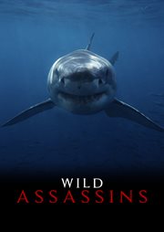 Wild Assassins - Season 1