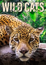 Wild Cats