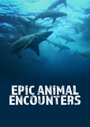 Epic Animal Encounters - Season 1. Season 1 cover image