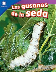 Los gusanos de la seda (raising silkworms) cover image