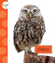 Owls cover image
