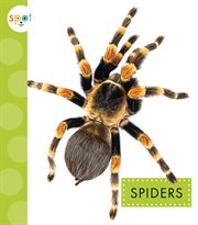 Spiders cover image