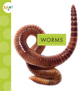 Cover image for Worms
