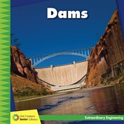 Dams cover image