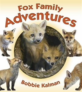 Cover image for Fox Family Adventures