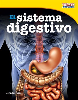 Cover image for El Sistema Digestivo