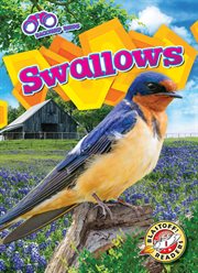 Swallows : Backyard Birds cover image