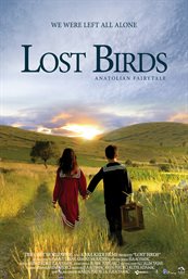 Lost birds cover image