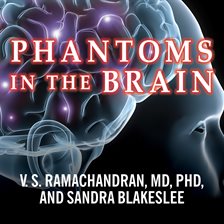 phantoms of the brain book