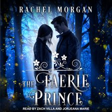 Cover image for The Faerie Prince