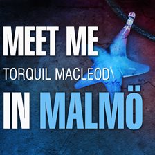 Umschlagbild für Meet Me in Malmo