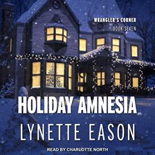 Cover image for Holiday Amnesia
