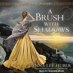 A brush with shadows cover image
