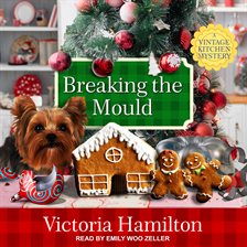 Cover image for Breaking the Mould