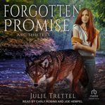 Forgotten promise cover image