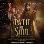 Path of soul : blackflame online universe cover image