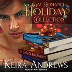 Gay romance holiday collection cover image
