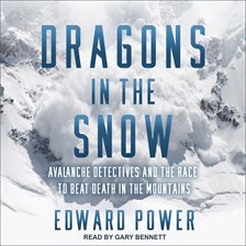 Cover image for Dragons in the Snow
