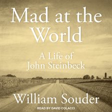 Cover image for Mad at the World