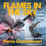 Flames in the sky cover image