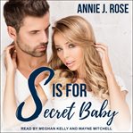 S is for secret baby cover image