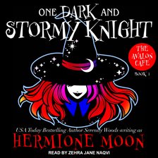 Imagen de portada para One Dark and Stormy Knight