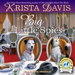 Big little spies cover image
