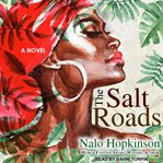 The salt roads cover image