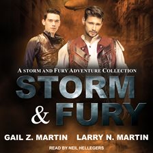 Cover image for Storm & Fury