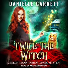 Image de couverture de Twice the Witch