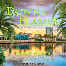 Cover image for Down in Flames