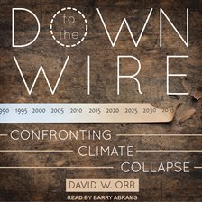 Cover image for Down to the Wire