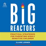Big Reactors : Practical Strategies for Parenting Highly Sensitive Children cover image
