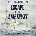 Escape of the amethyst cover image