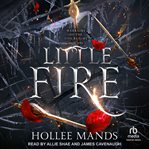 Little fire cover image