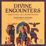Divine Encounters : A Guide to Visions, Angels, and Other Emissaries cover image
