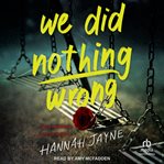 We Did Nothing Wrong cover image