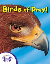 Cover image for Birds of Prey